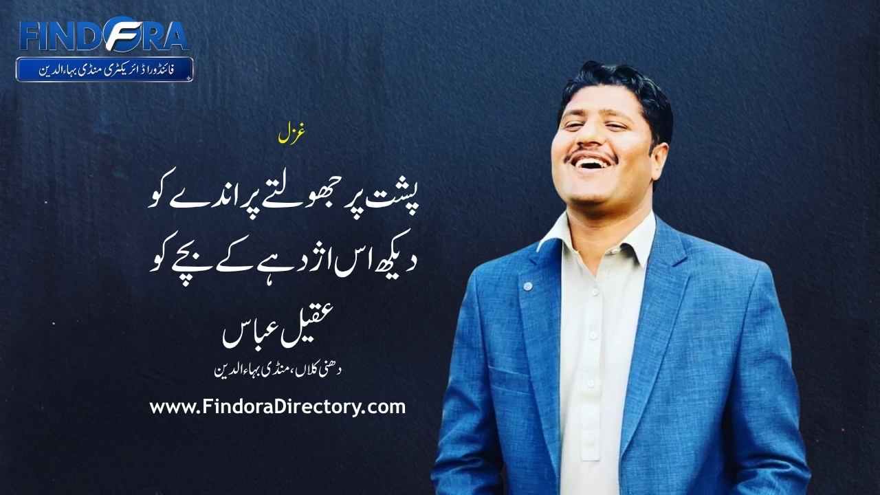 پشت پر جھولتے پراندے کو | غزل | عقیل عباس