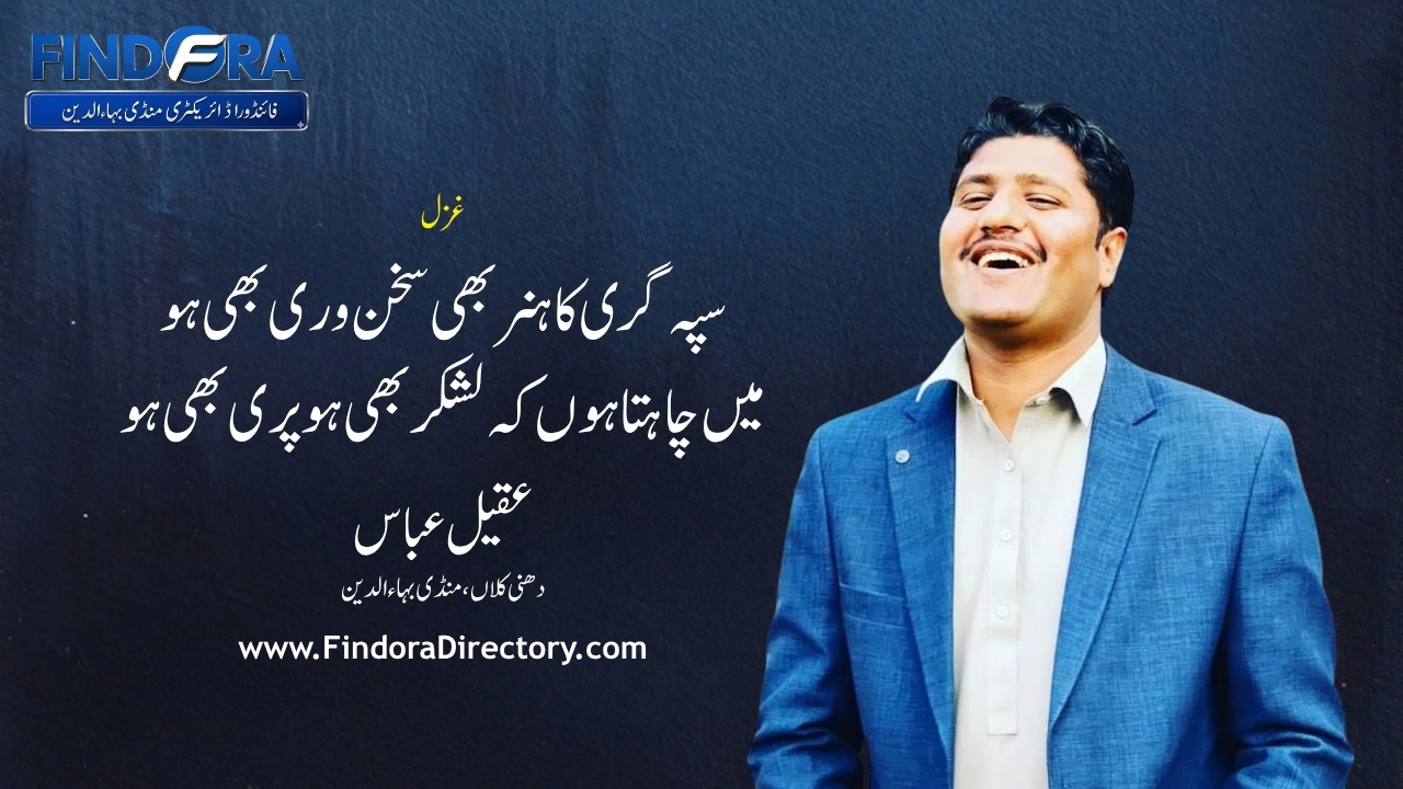 سپہ گری کا ہنر بھی سخن وری بھی ہو | غزل | عقیل عباس