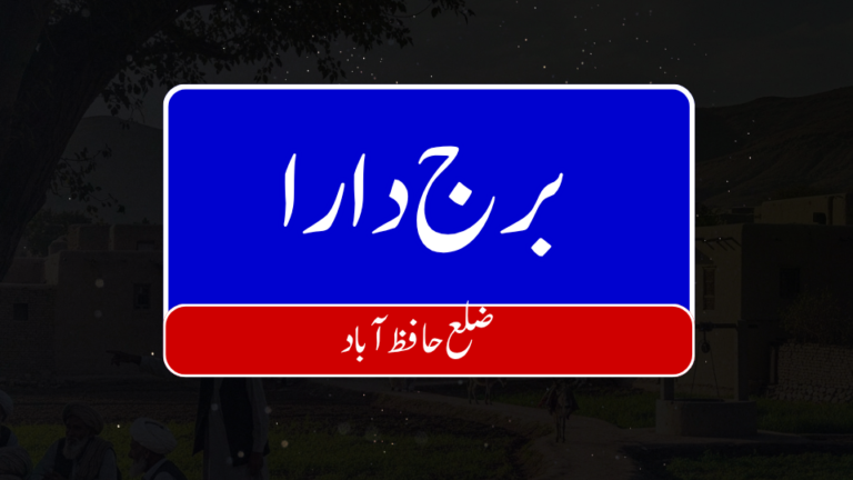 12 768x432