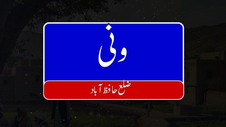 16 768x432