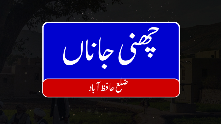 17 768x432