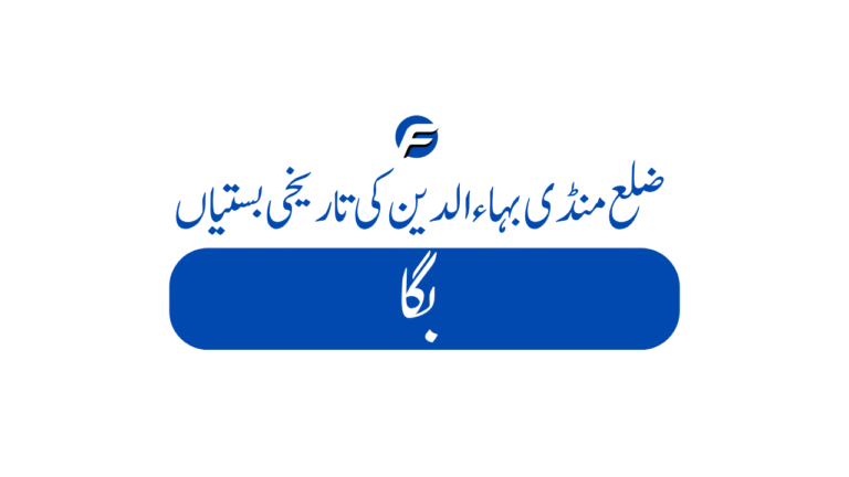 Bagha Pump 1 768x432