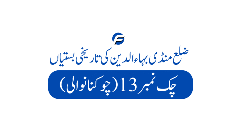 Chak 13 Chukanawali 768x432