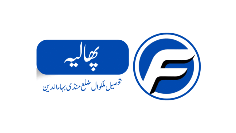 Phalia Mandi Bahauddin 768x432