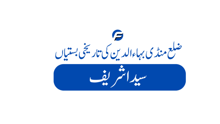 Saida Sharif 768x432