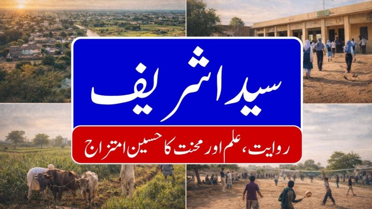 Saida Shareef 768x432