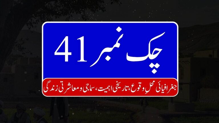 Chak No 41 768x432