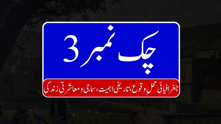 Chak No. 3 768x432