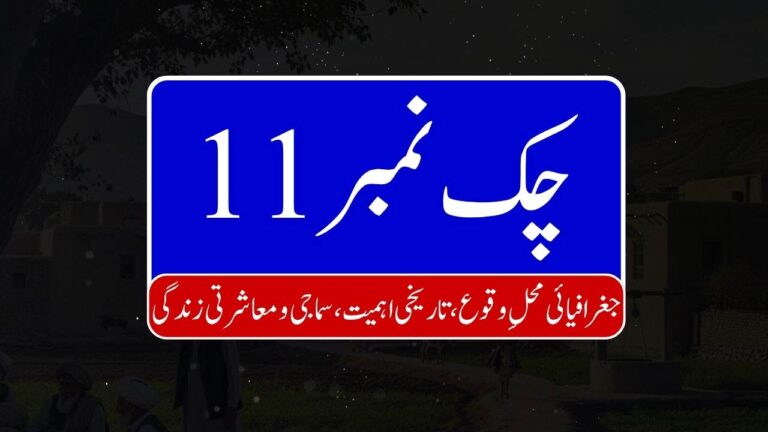 Chak no 11 768x432