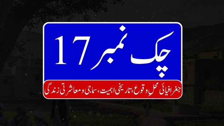 Chak no 17 768x432