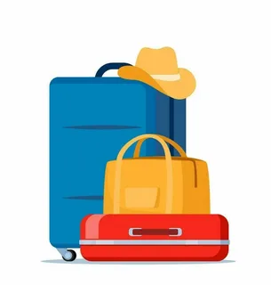 travel bag