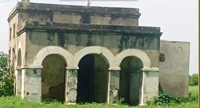 Haveli 768x418