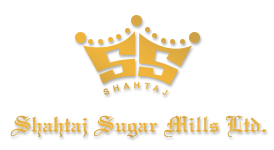 logo golden