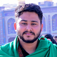 meesam tauseef zaidi