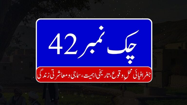 Chak No. 42 Bhaggal 768x432