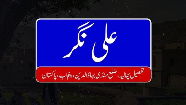 Ali Nagar 768x432